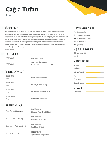 Ebe Cv Örnekleri cv indir